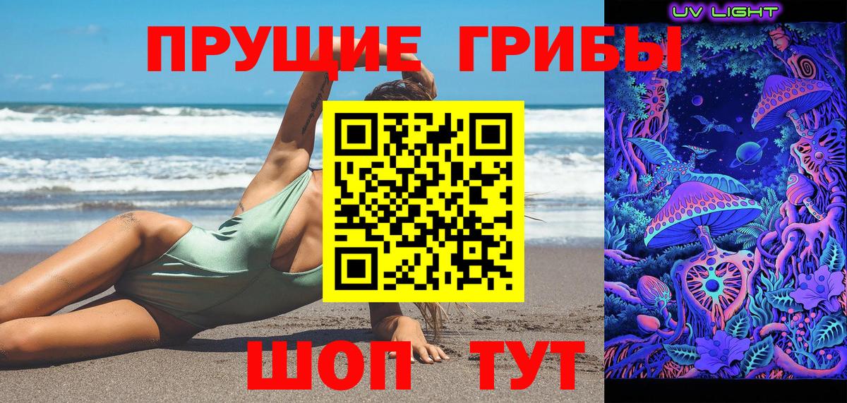 Псилоцибиновые грибы Magic Shrooms  Вход с VPN  Псилоцибиновые грибы Psilocybe  Бийск 