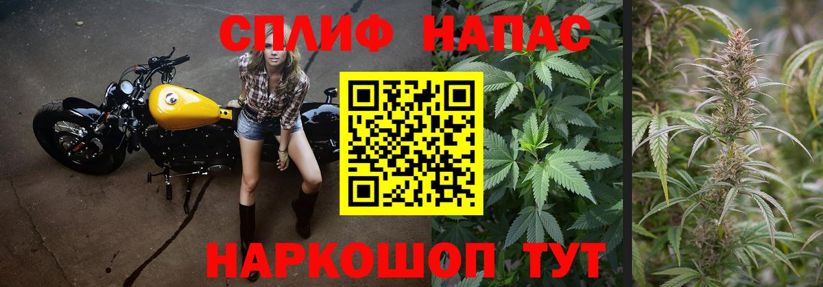 Бошки марихуана план  Бошки марихуана SATIVA & INDICA  Вход с VPN  Бийск  Каннабис гибрид 